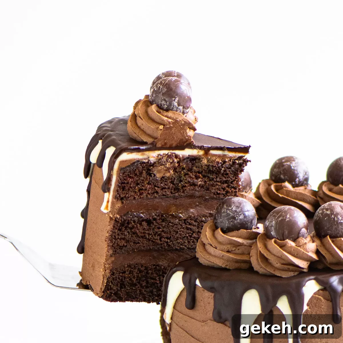 featured 2265