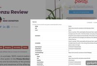 Yoast SEO Product Review Schema Guide for Higher Google Rich Results