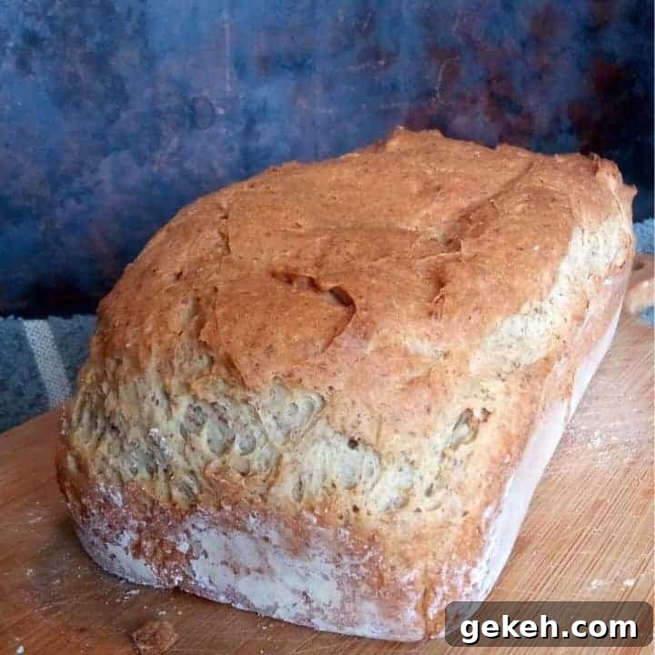 best gluten free bread recipe ever