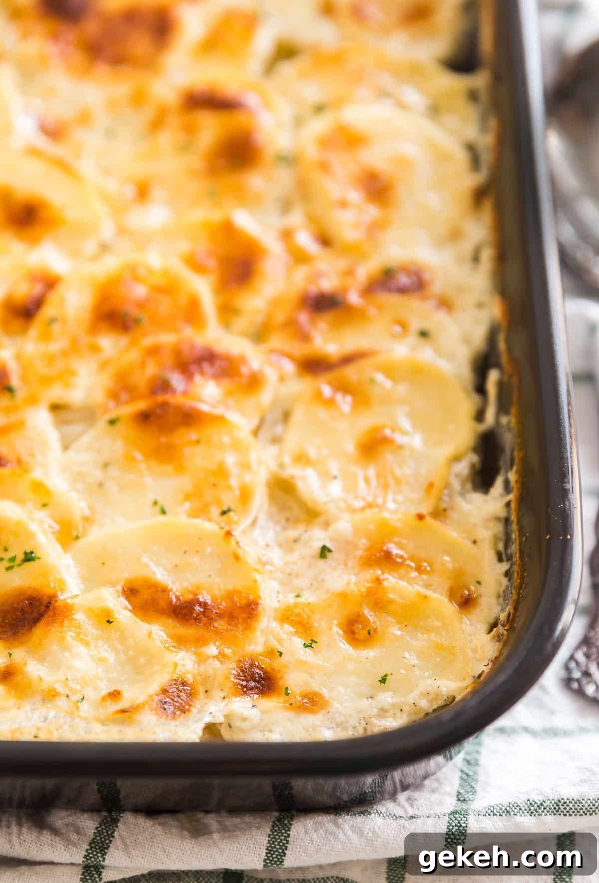 Classic Creamy Scalloped Potatoes Recipe from Mom 11 The corner of a pan of scalloped potatoes.