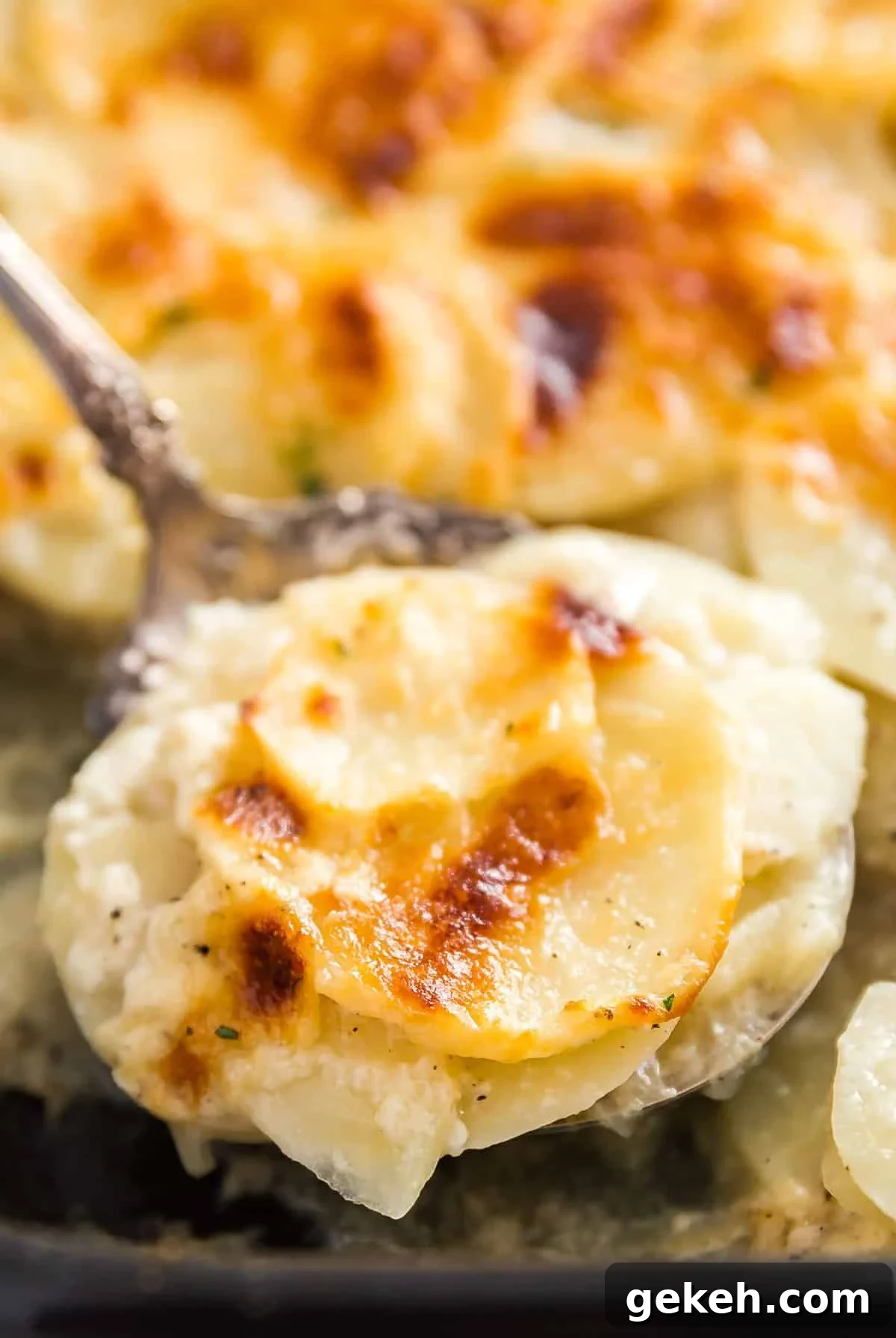 Classic Creamy Scalloped Potatoes Recipe from Mom 10 A spoon holding up a scoop of scalloped potatoes over the full pan.