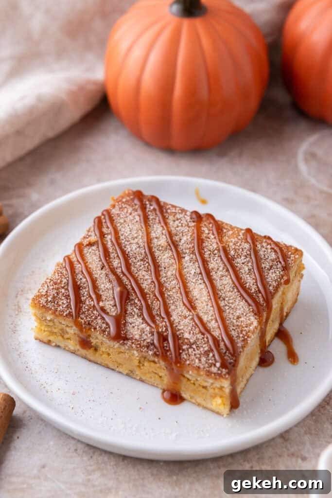 Churro Pumpkin Cheesecake Bars Recipe — Step-by-Step Guide 2 Churro pumpkin cheesecake bars on a plate