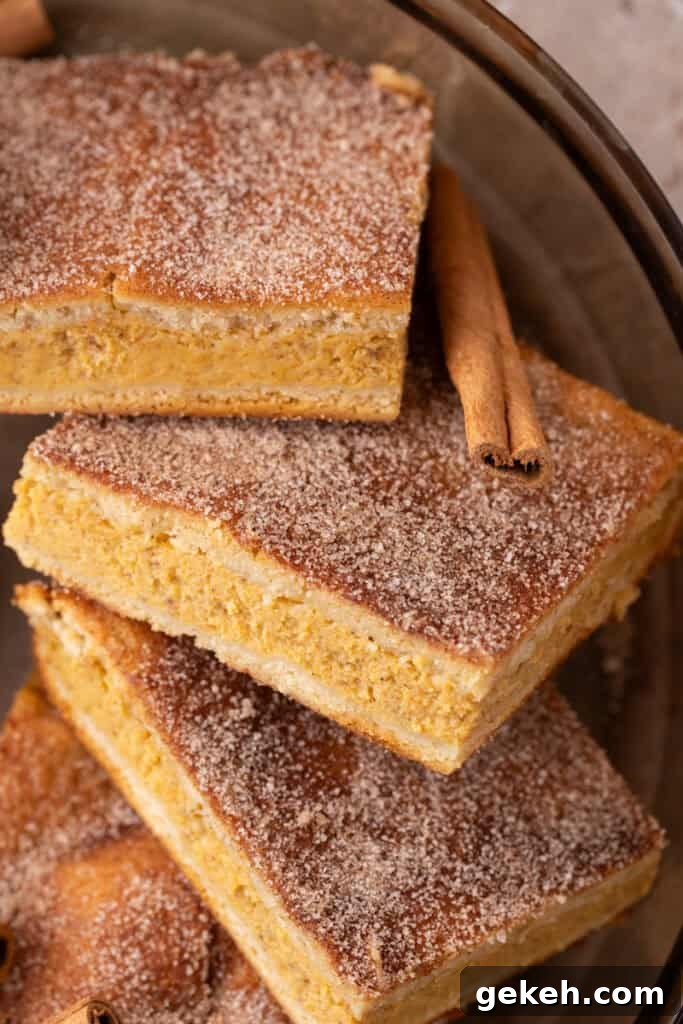 Churro Pumpkin Cheesecake Bars Recipe — Step-by-Step Guide 8 Churro Pumpkin cheesecake bars stacked up