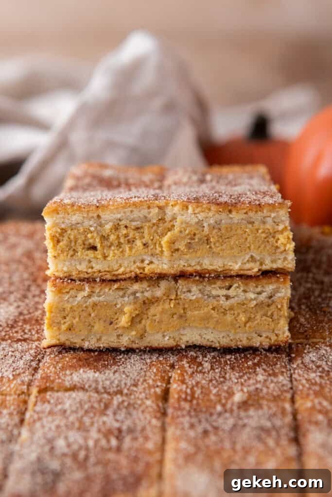 Churro Pumpkin Cheesecake Bars Recipe — Step-by-Step Guide 9 Churro Pumpkin cheesecake bars stacked up