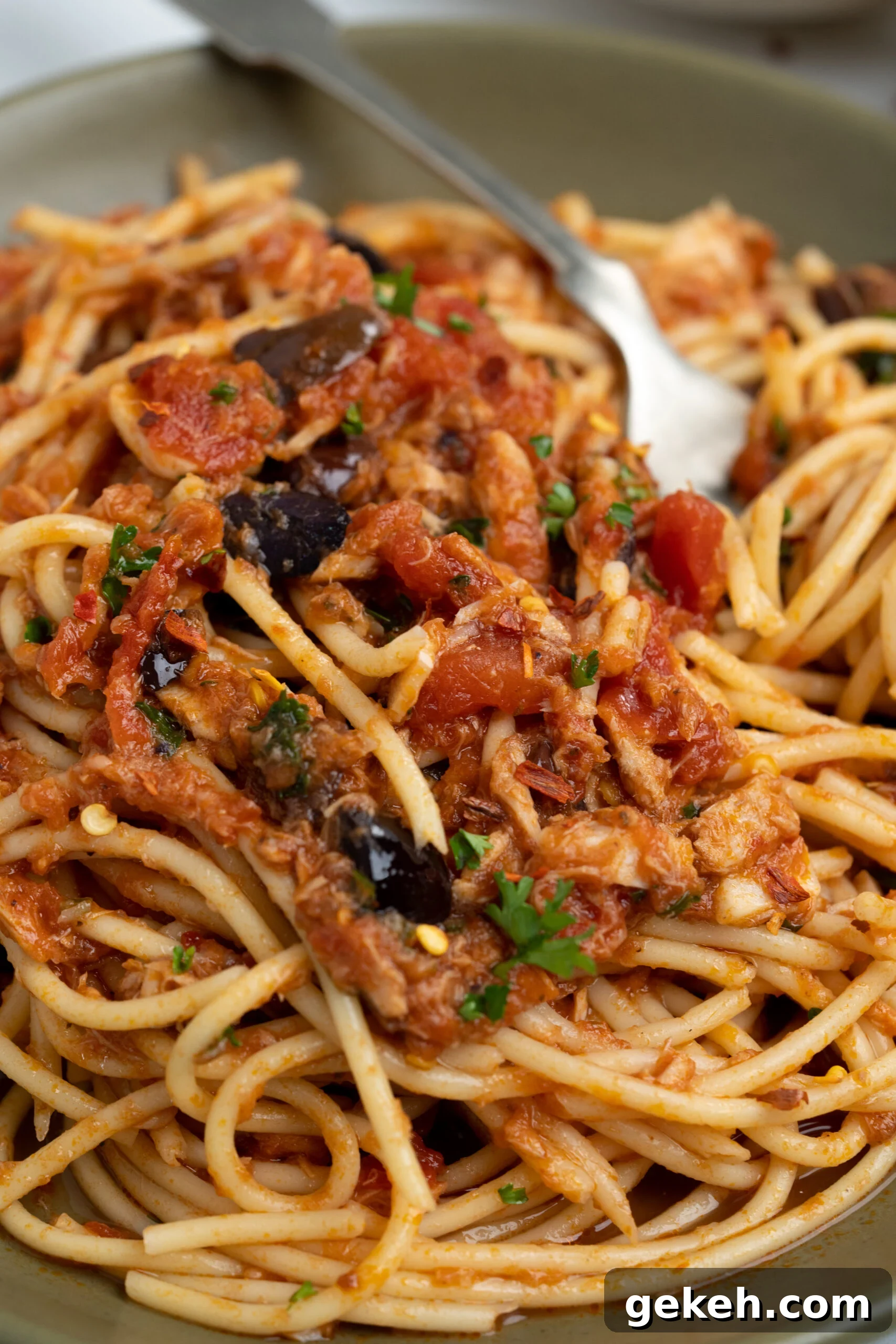 Quick Canned Tuna Pasta Recipe for Weeknight Dinners 8 img 111588 7
