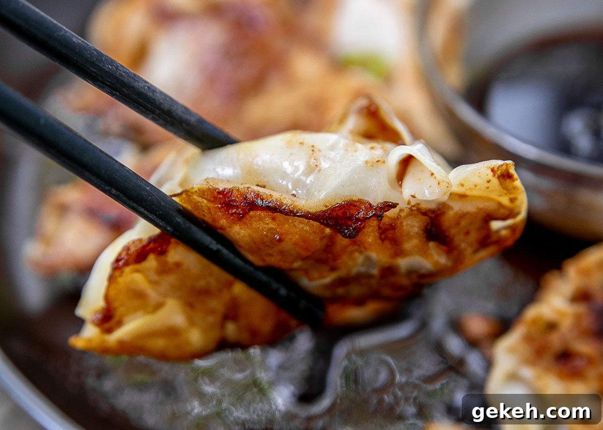 Crispy Pork Potstickers: Homemade Dumplings with Savory Filling 3 Chopsticks holding up a pork potsticker.