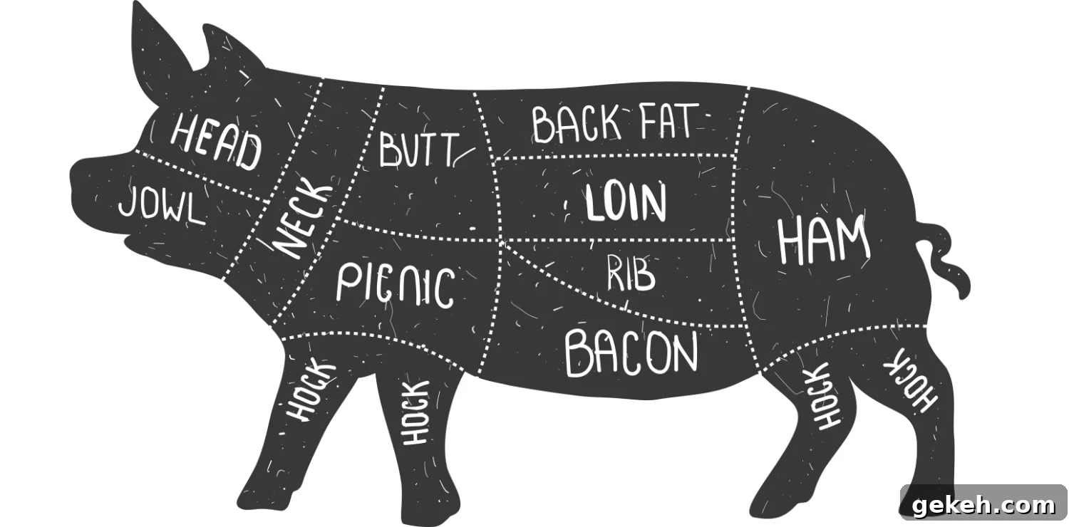 pork cuts diagram