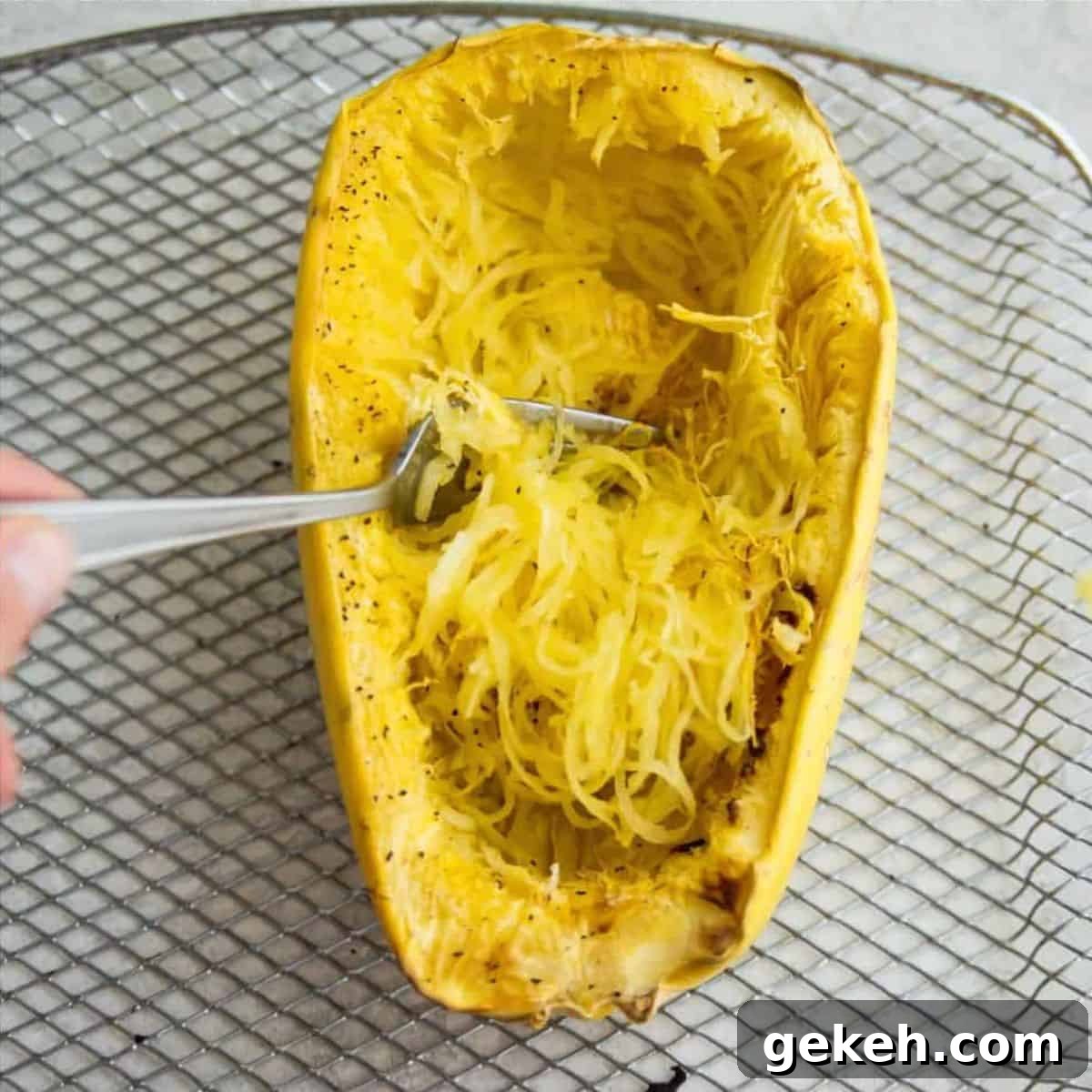 Half of a spaghetti squash with the flesh being scooped out of it with a fork.
