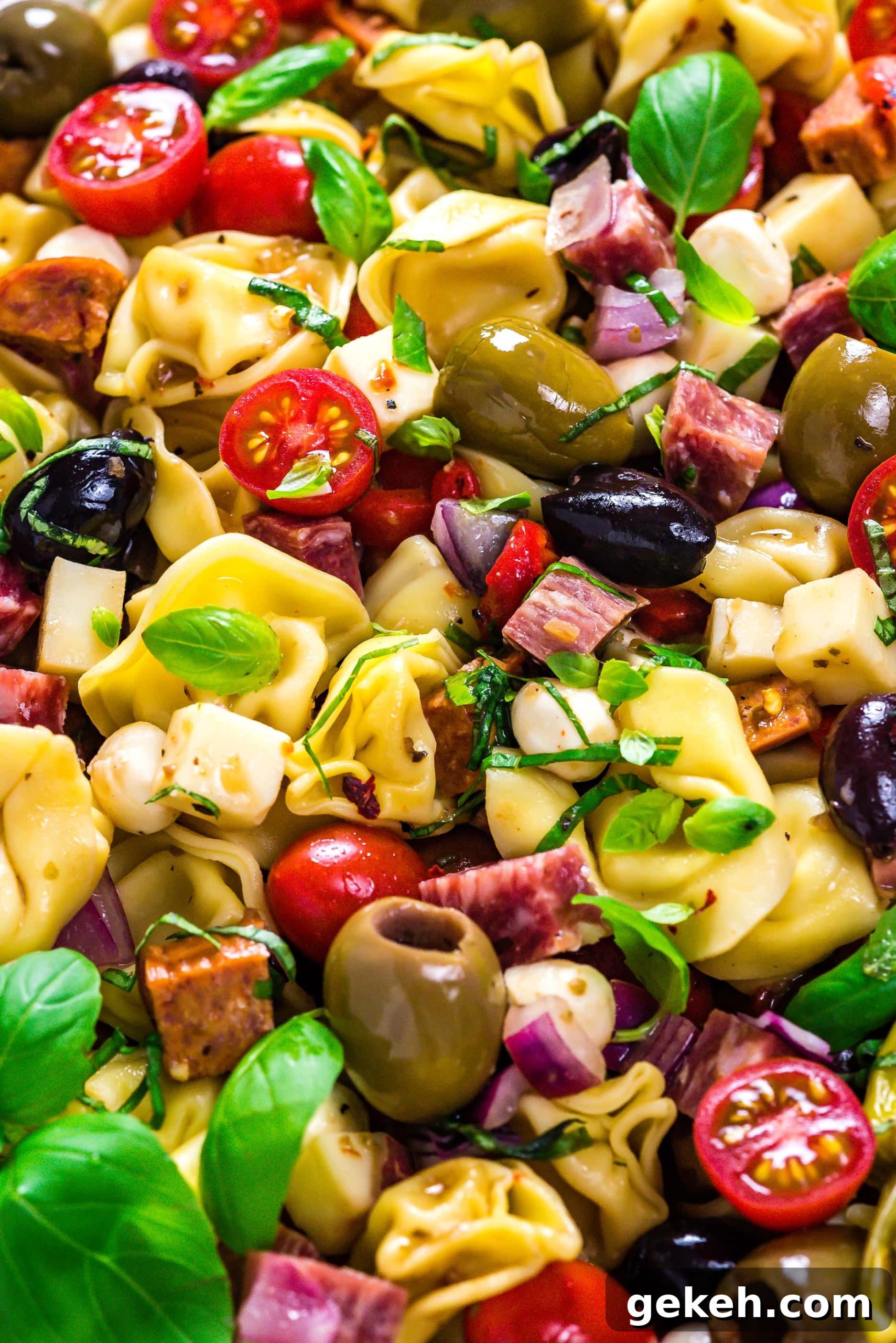 A close-up of Antipasto Tortellini Pasta Salad, garnished with fresh basil.