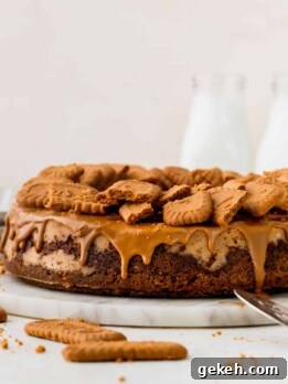 Biscoff cheesecake on top of a marble board.