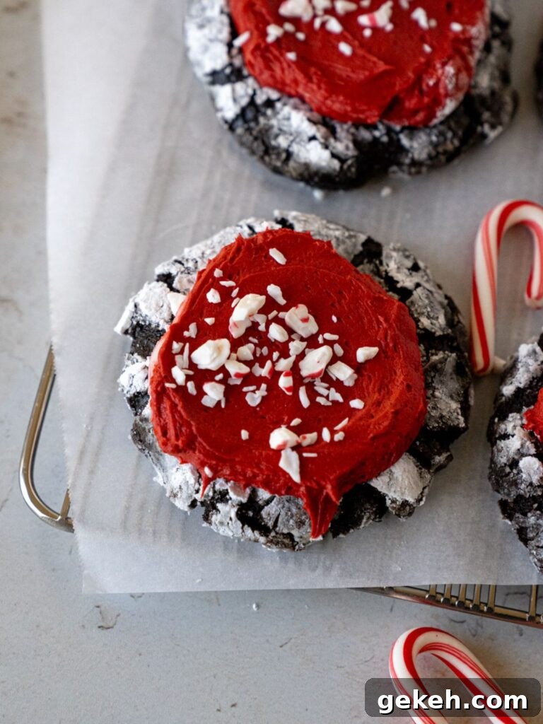 Chocolate Peppermint Crinkle Cookies Recipe — Holiday Baking Guide 2 Chocolate Peppermint Crinkle Cookies