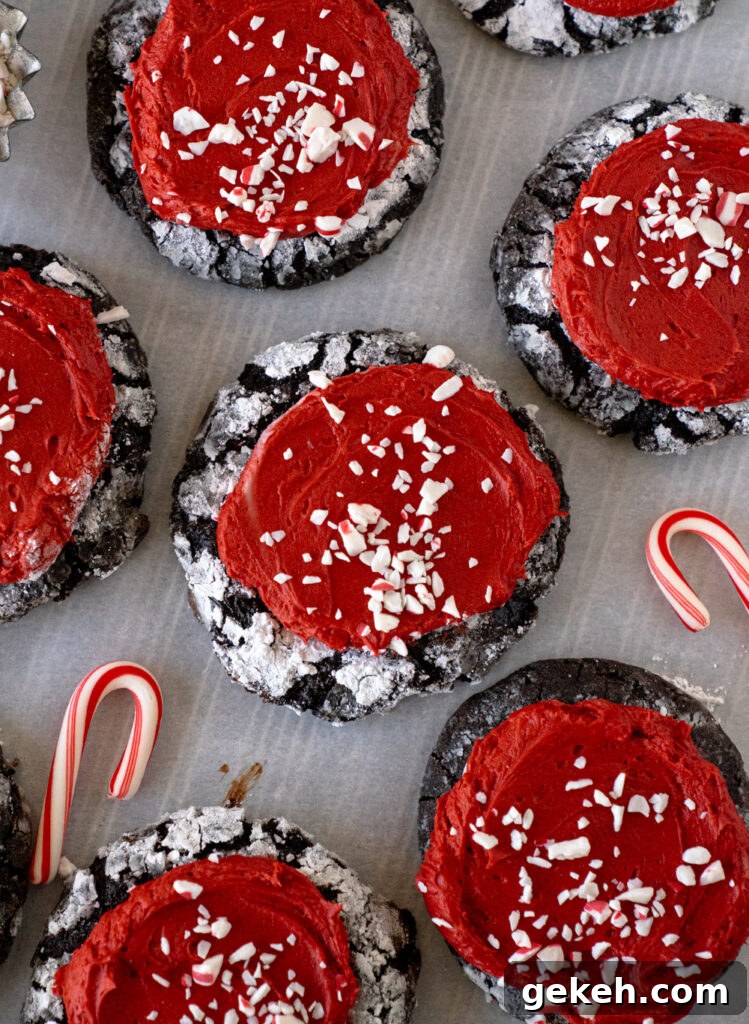 Chocolate Peppermint Crinkle Cookies Recipe — Holiday Baking Guide 3 Chocolate Peppermint Crinkle Cookies