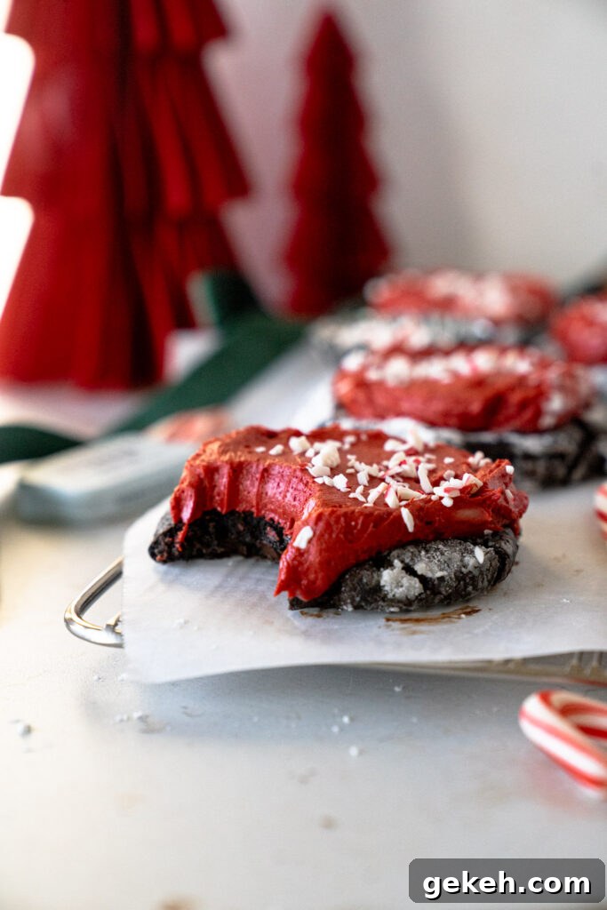 Chocolate Peppermint Crinkle Cookies Recipe — Holiday Baking Guide 4 Chocolate Peppermint Crinkle Cookies