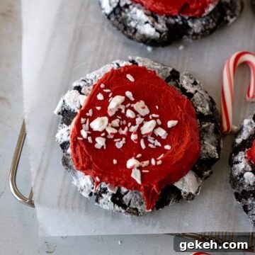 Chocolate Peppermint Crinkle Cookies Recipe — Holiday Baking Guide 5 Chocolate Peppermint Crinkle Cookies