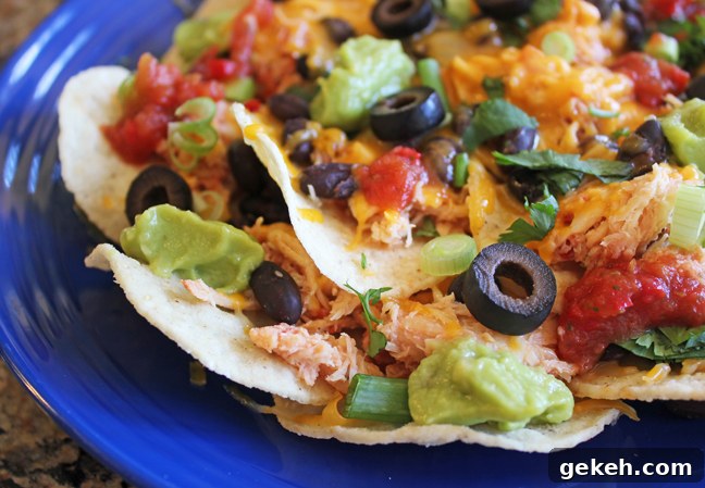 Chicken and Black Bean Nachos