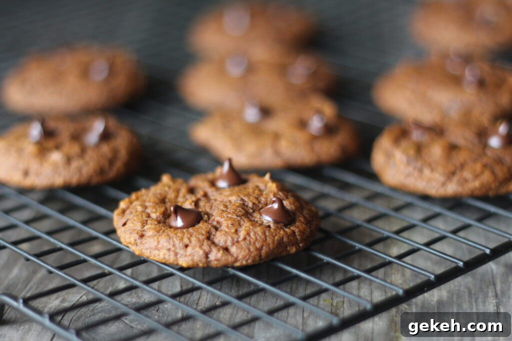 PaleOMG Pumpkin Recipes: Ultimate Pumpkin Everything Guide 2 pumpkin cookies
