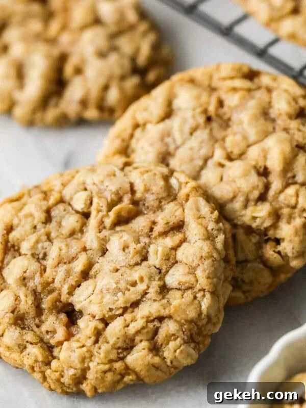 Chewy Peanut Butter Oatmeal Cookie Recipe 10 Two sourdough oatmeal cookies beside a cooling rack