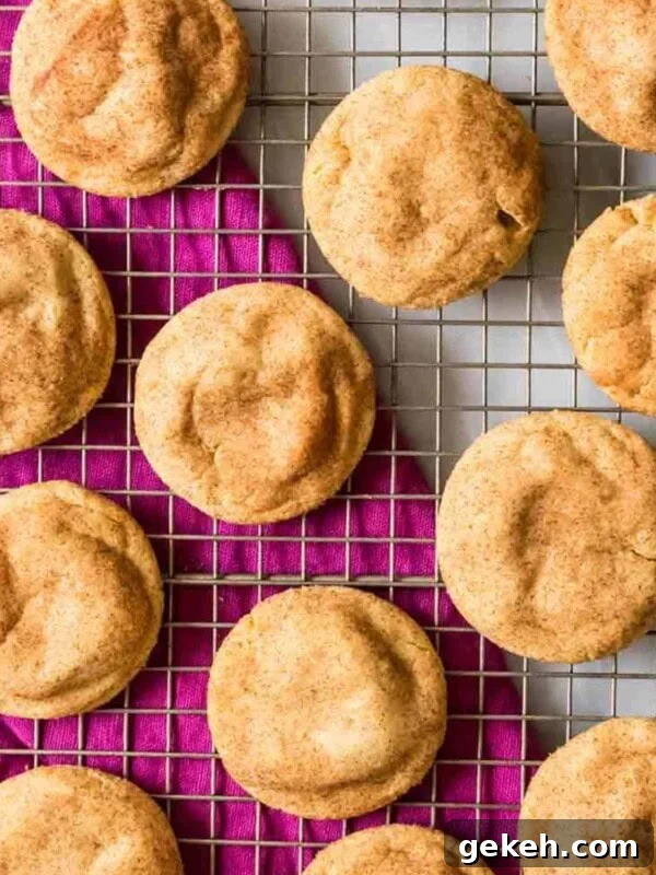Chewy Peanut Butter Oatmeal Cookie Recipe 8 Overhead of peanut butter snickerdoodles on cooling rack