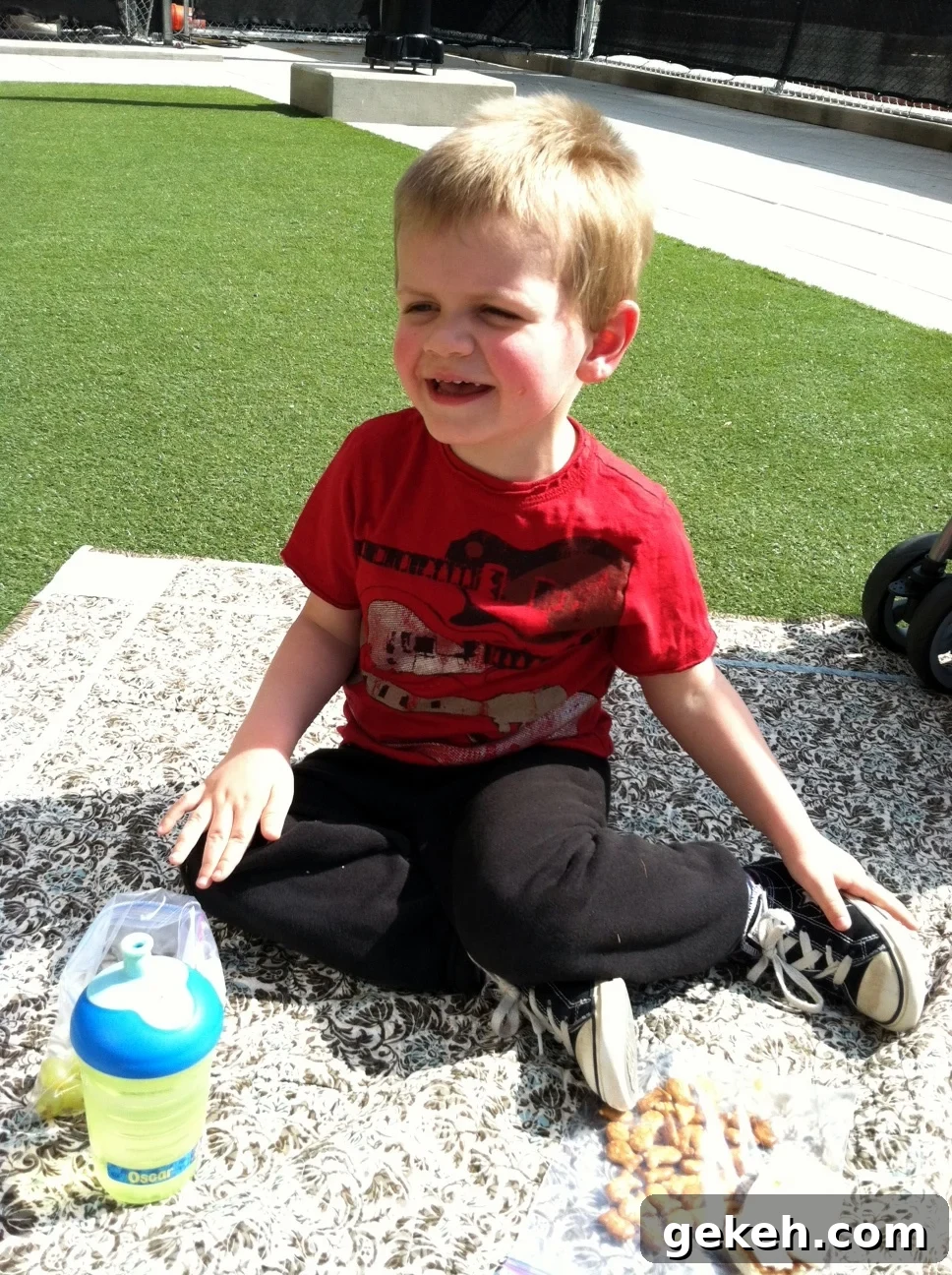 5 Family-Friendly Ways to Celebrate Earth Day at Home 3 Picnic happy