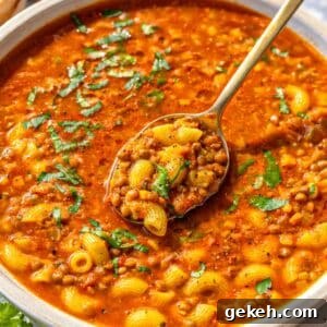 Rustic bowl filled with lentil noodle soup and fresh parsley on top.