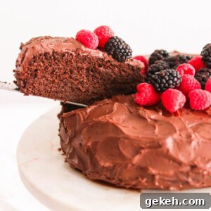 Decadent Paleo Chocolate Cake with Rich Chocolate Ganache 9 img 13505 8