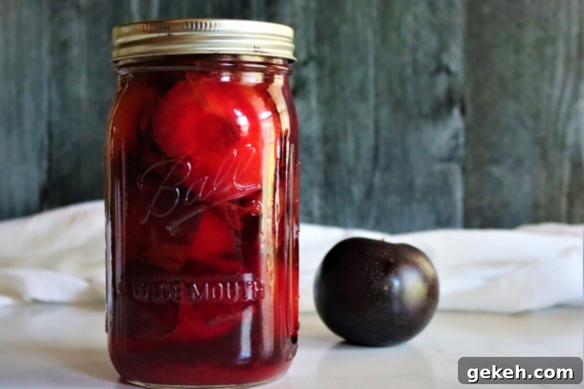How to Can Plums at Home: A Step-by-Step Guide 2 Canning Plums
