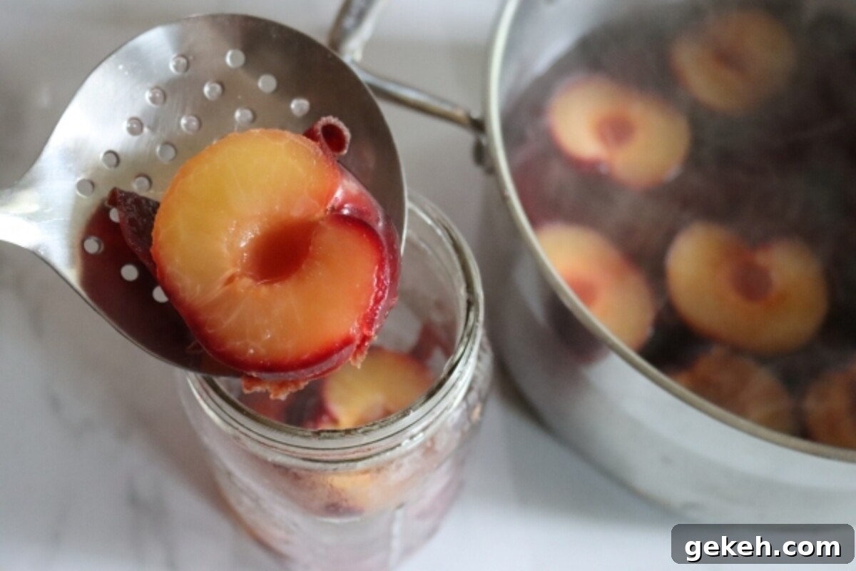 How to Can Plums at Home: A Step-by-Step Guide 5 Hot Pack Canning Plums