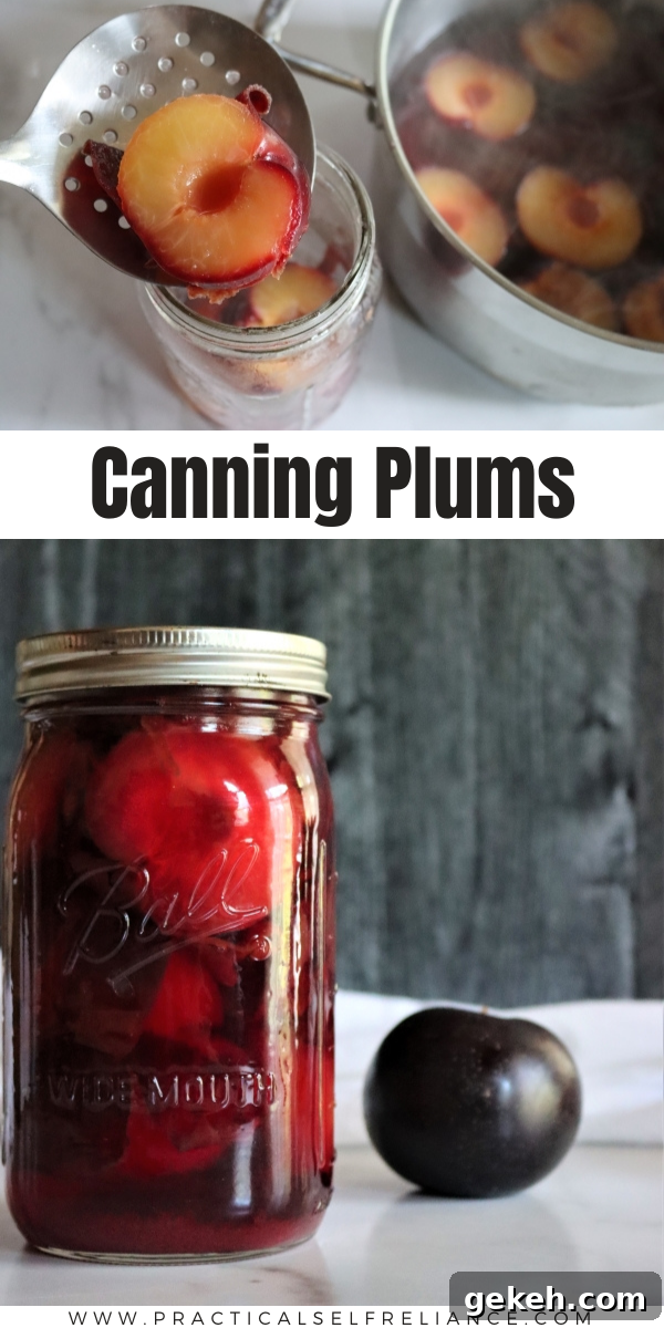 How to Can Plums at Home: A Step-by-Step Guide 9 How to Can Plums ~ Canning plums is a simple way to preserve plums at home with just a water bath canner. Can plums in syrup, water or juice.
