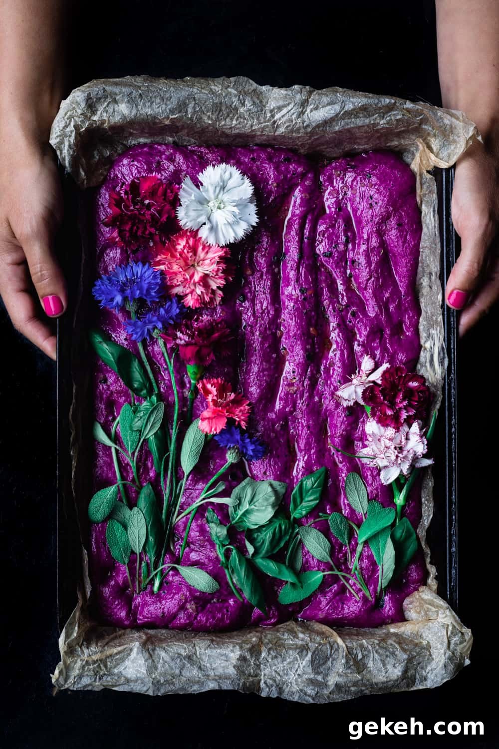 Beet Focaccia: Vibrant No-Knead Magenta Bread Recipe 8 Food Photographer Daniela Gerson holding a pan of raw beet focaccia dough decorated like a garden; overhead shot.