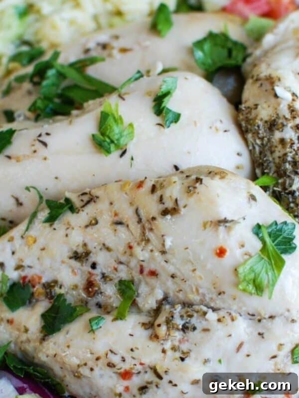 Greek Chicken with Tzatziki Orzo Salad image 1200