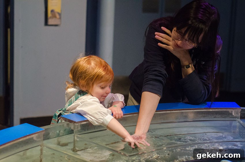 Caroline’s Mystic Aquarium Visit — Wordless Wednesday Photos 11 aquarium 20