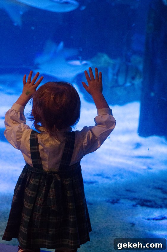 aquarium 3
