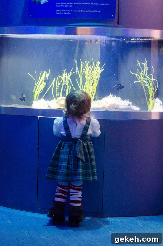 aquarium 8
