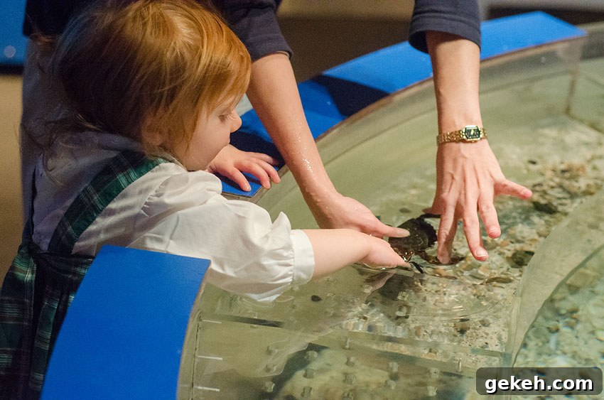 Caroline’s Mystic Aquarium Visit — Wordless Wednesday Photos 9 aquarium 15