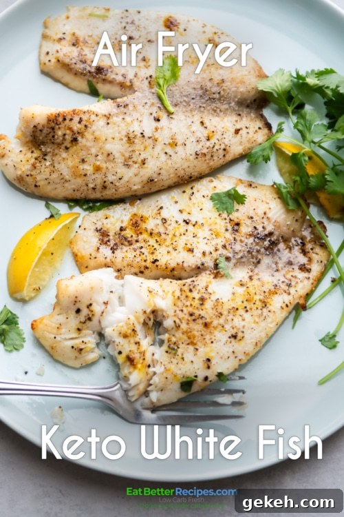 healthy air fryer fish recipe plated low carb air fryer keto fish
