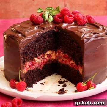 dark chocolate raspberry cake