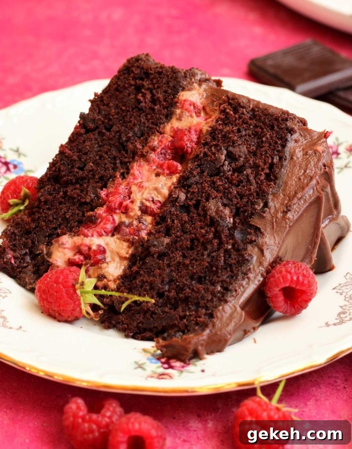 chocolate raspberry cake slice