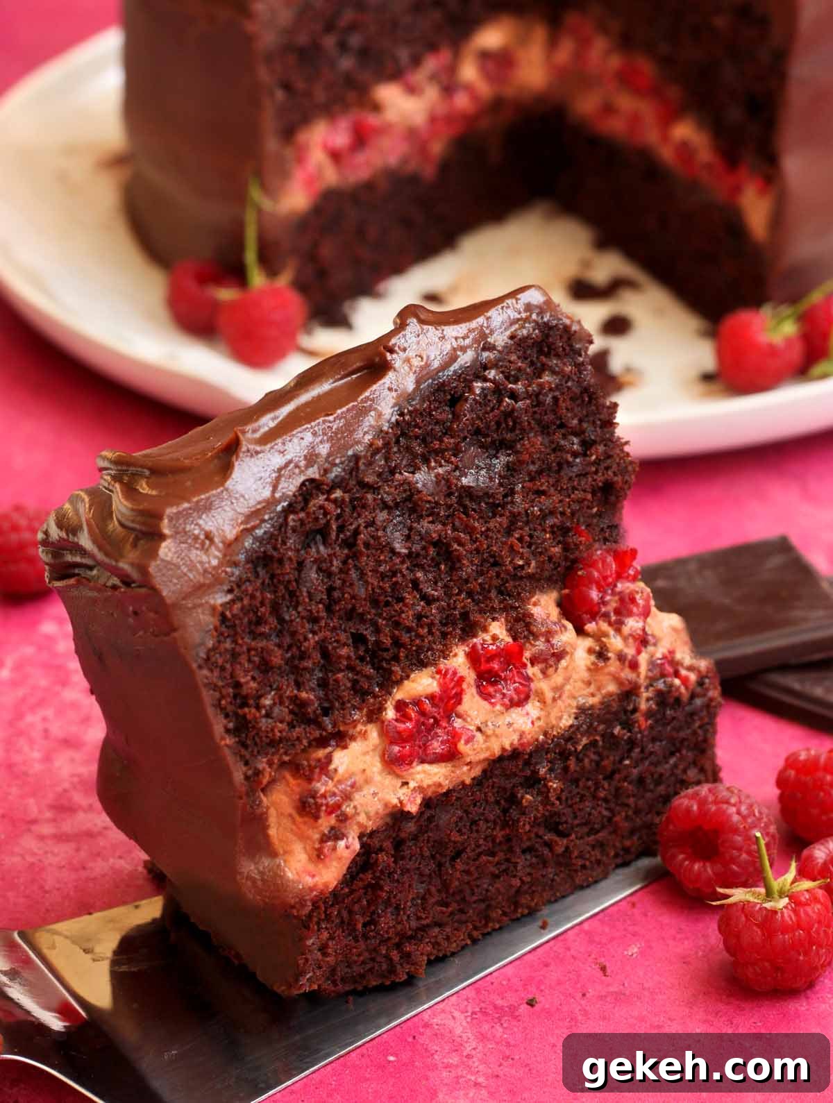 chocolate raspberry cake slice