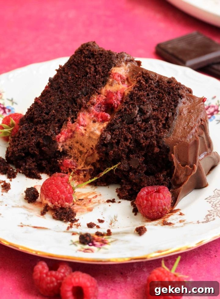 chocolate raspberry cake slice with bite