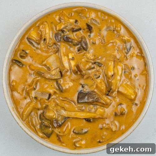 Oyster Mushroom Stroganoff