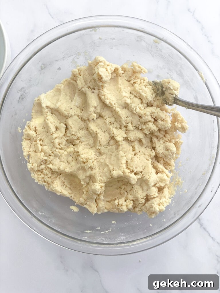 How to Make a Flaky Pie Crust Every Time 11 dough that is ready to form