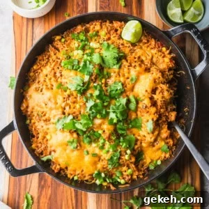 Savory Ground Beef and Salsa Rice Skillet Recipe 9 Ground beef salsa rice skillet meal.