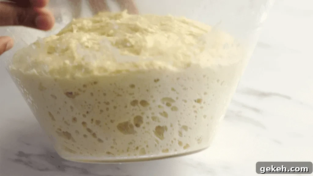 potato bun rising