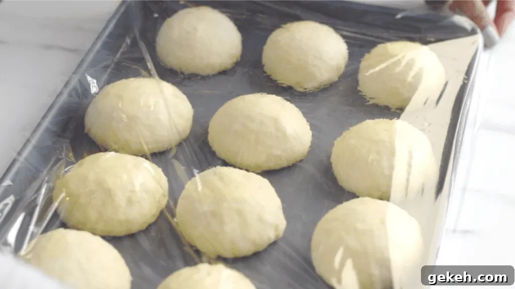 potato bun proofing
