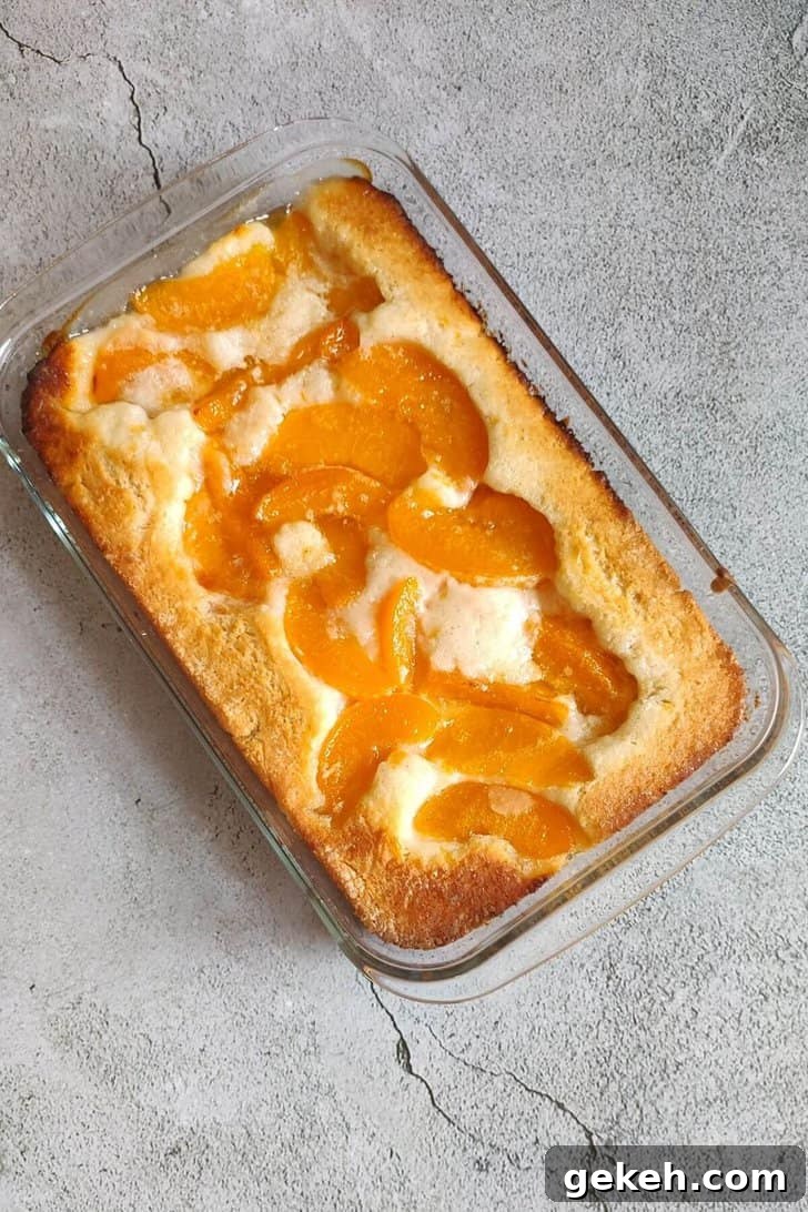 15+ Delicious Canned Peach Recipes for Every Meal 15 peach cobbler in a glass baking dish.
