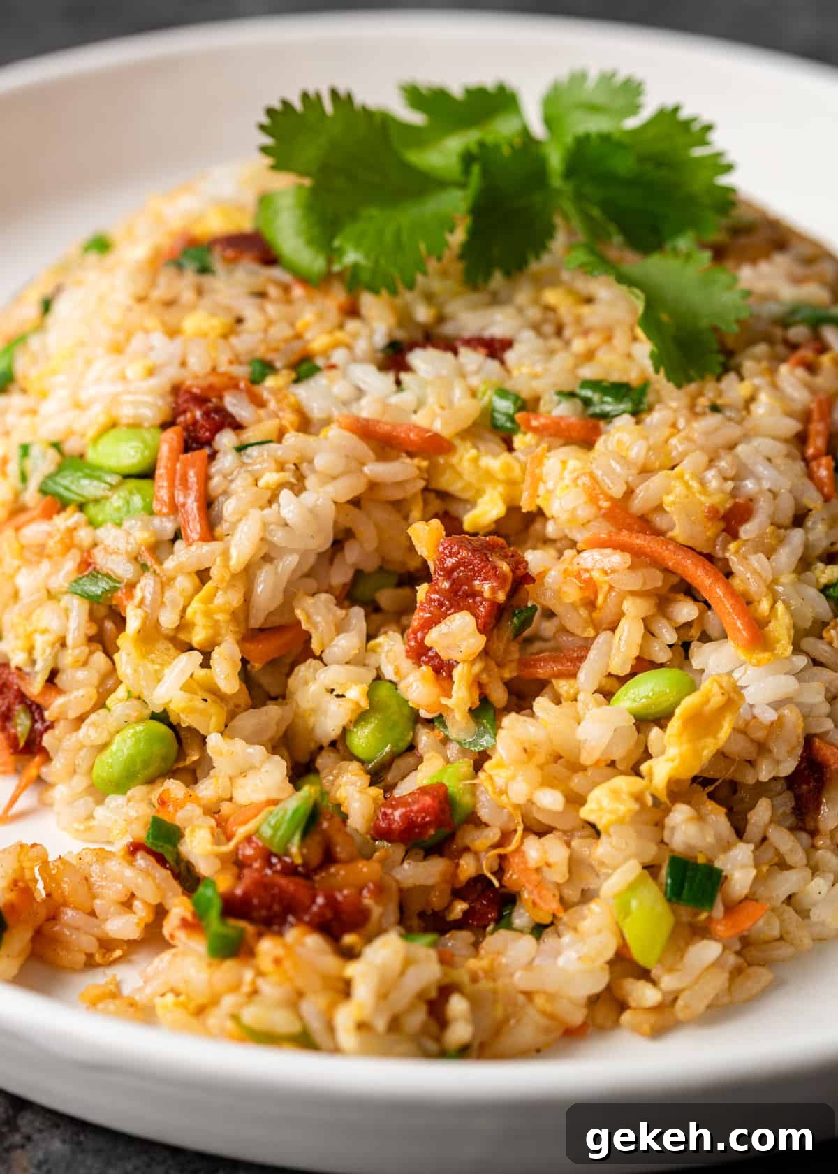 Perfect White Rice Every Time: Simple Stovetop & Rice Cooker Method 7 hibachi fried rice