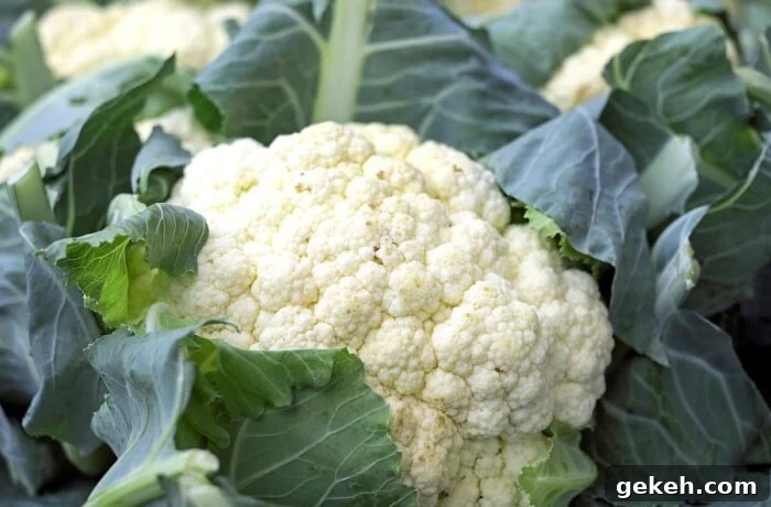 February Seasonal Vegetable-cauliflower