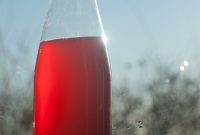 Sparkling Currant Champagne Recipe: Quick Fizzy Drink