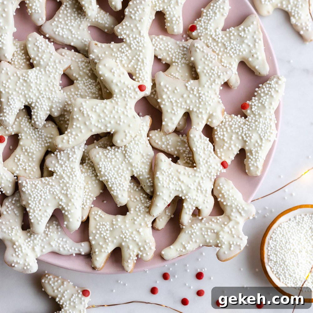 Festive Reindeer Cookies Recipe for Holiday Parties 2 Reindeer Animal Cookies by Baking The Goods