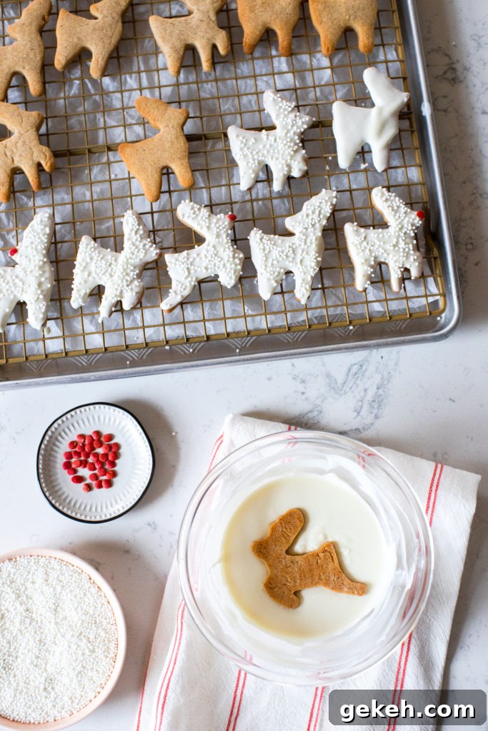 Festive Reindeer Cookies Recipe for Holiday Parties 17 Reindeer Animal Cookies and white chocolate dip